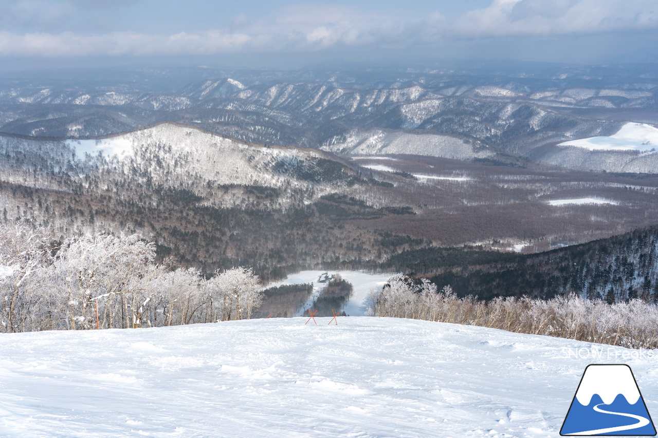 十勝サホロリゾート｜あの記録的な大雪から１週間…。ゲレンデのコンディションは、この上ないほど良好です(^^)v